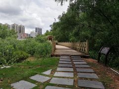-大亚湾红树林城市湿地公园