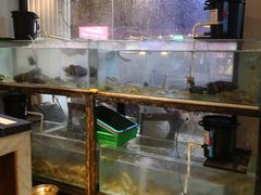 -泰华海鲜中餐厅(普吉镇店)