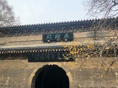 -灵谷景区