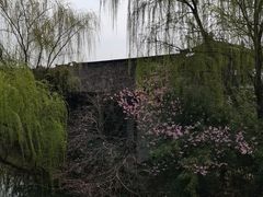 -同里国家湿地公园