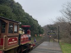 -济州森林小火车生态公园