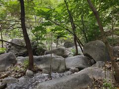 -灵溪风景区
