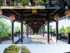 -宜兴龙背山森林公园
