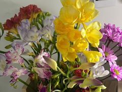 -池田寿司·新鲜现做(昌平悦荟店)