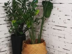 -甜心闲生传统手工冰粉(人民广场店)