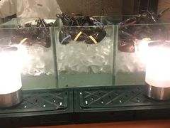 -香港尖沙咀凯悦酒店