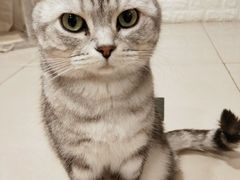 -平行世界·猫咖(首经贸店)