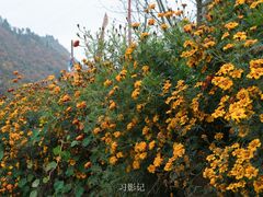 -孟屯河谷景区