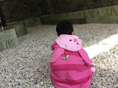 -东方华地城湿地温泉度假区