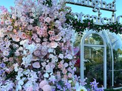 -春花秋色城市公园