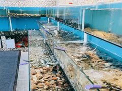 -港畔赶海蒸汽海鲜烧烤自助(仙螺岛店)
