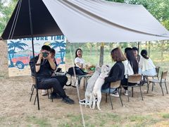 -Walker萌宠露营(大明骑士驿站店)