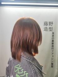 -藤野造型