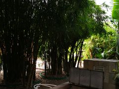 -河源客天下-温泉小镇