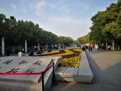 -武汉大学-樱园