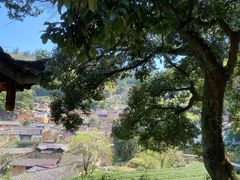 -杨家堂村
