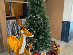 -深圳湾万象城(南山店)