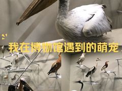 -中国湿地博物馆