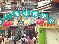 -猫咪博物馆(顶澳仔猫街店)