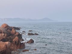 -青岛金沙滩