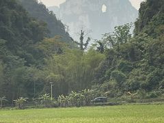 -明仕田园