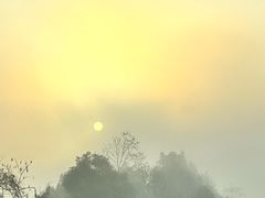 -大围山国家森林公园