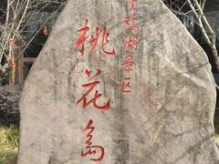 -金鸡湖桃花岛