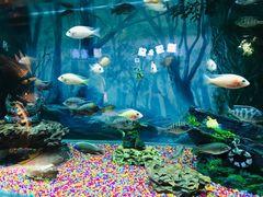 -秦皇岛新澳海底世界