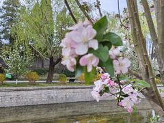 -元大都城垣遗址公园