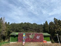 -罗田薄刀峰风景区