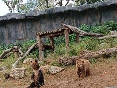 -武汉动物园