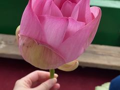 -太湖游船(石公山码头)