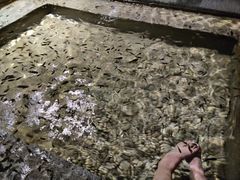 -明谷行馆·温泉