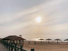 -长兴岛海滨公园