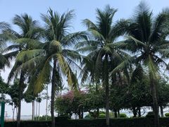 -悦林汤馆(观海店)