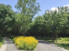 -东郊湿地公园