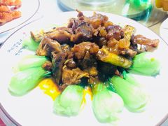 -8号蒸饺精品炖鸽子(康特商街店)