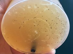 -大葱柠檬茶scallionlemontea(中山八路富力店)