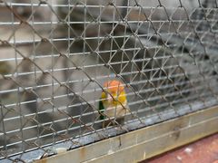 -合肥野生动物园