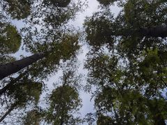 -上海怡沁园度假酒店