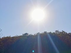 -羊山湖公园