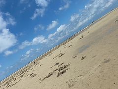 -北海金海湾红树林生态旅游区