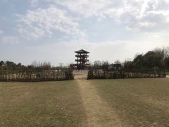 -杭州湾海上花田景区