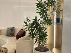 -守田肩颈·推拿SPA(颐豪旗舰店)