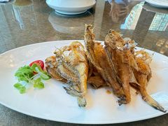 -上海总会SHANGHAICLUB(兴业太古汇店)