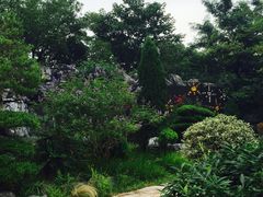 -吴淞炮台湾湿地森林公园烧烤区