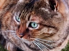 -苏州河梦清园环保主题公园