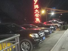 停车场好多车啊-y牌太安鱼