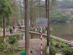 -重庆彩云湖湿地公园