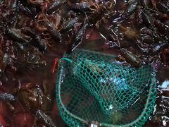 -老北京涮羊肉·龙虾.烧烤(江镇店)